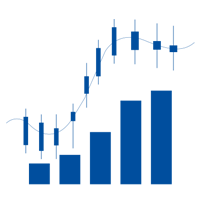 Wealth Management